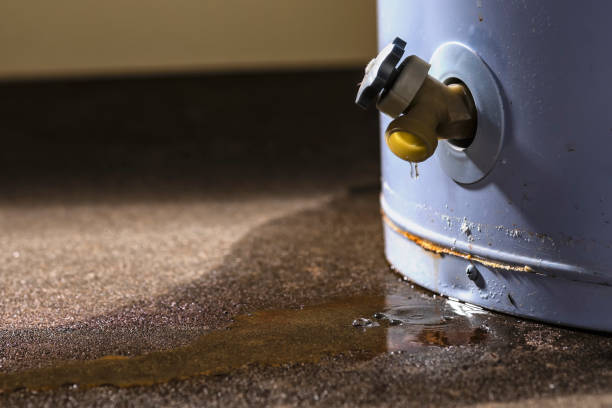 Best Water damage restoration mold remediation  in South Oroville, CA