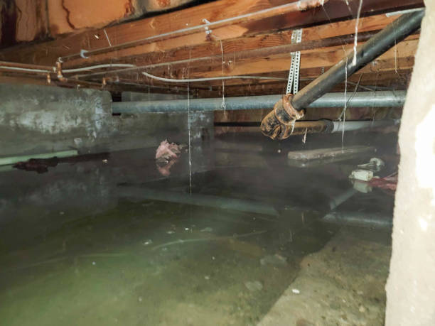 Best Fire Damage Restoration  in South Oroville, CA