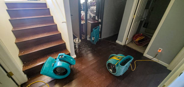 Best Commercial water damage restoration  in South Oroville, CA