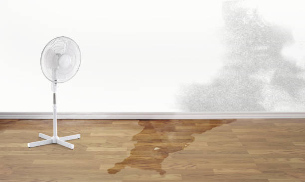 Best 24/7 water damage repair  in South Oroville, CA