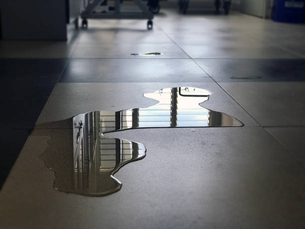 24/7 water damage repair in South Oroville, CA