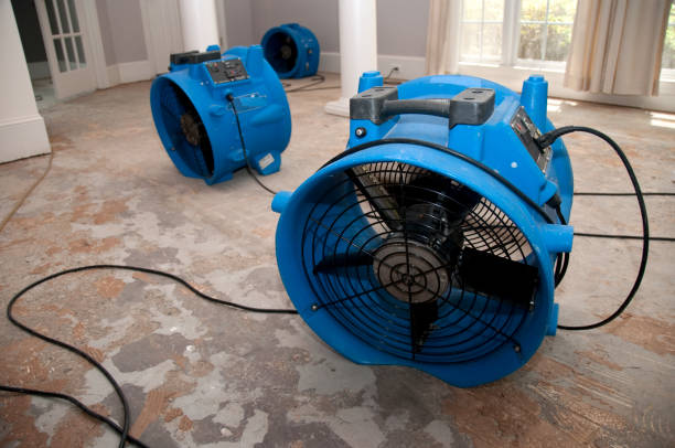 Best 24/7 water damage repair  in South Oroville, CA