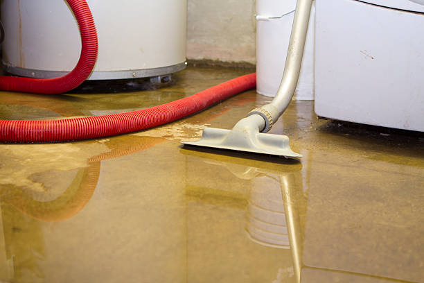 Best Water damage contractors near me  in South Oroville, CA