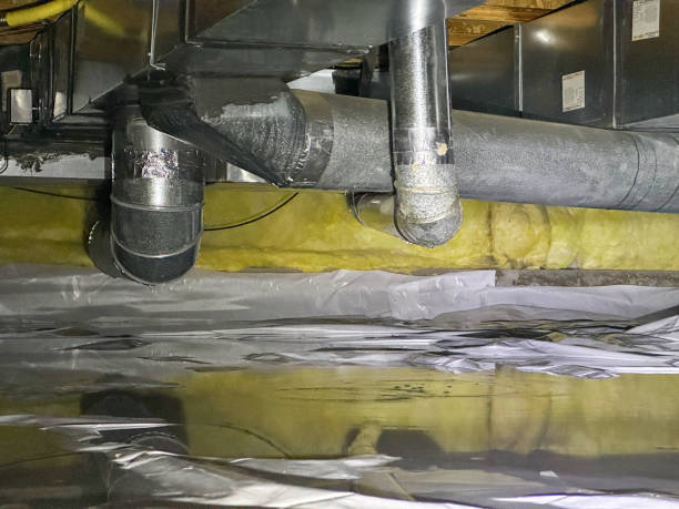 Best Water damage restoration near me  in South Oroville, CA