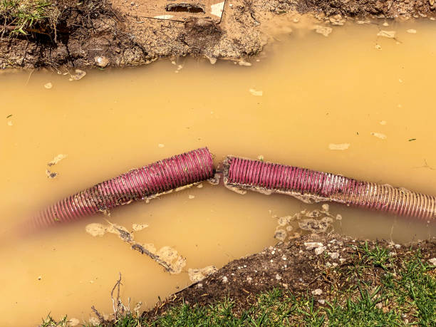 Best Water damage cleanup near me  in South Oroville, CA