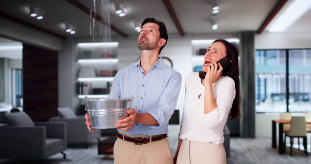 Best Water damage contractors near me  in South Oroville, CA
