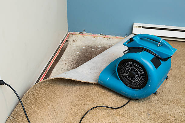 Best Water damage restoration near me  in South Oroville, CA